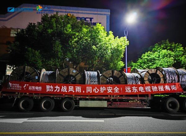 勠力战风雨 同心护安全|远东电缆驰援海南